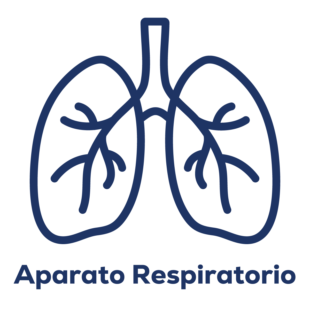 Aparato Respiratorio